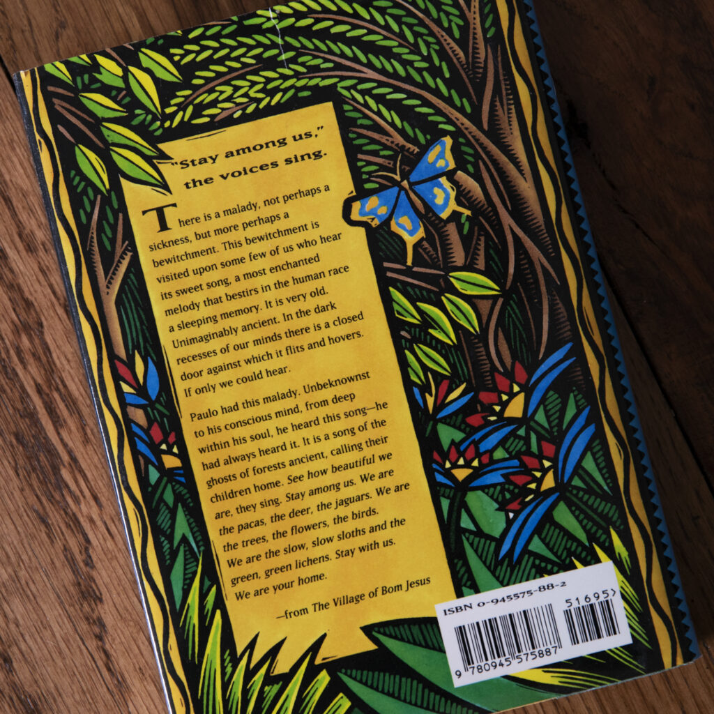 Illustration of forest scene for back cover of book.