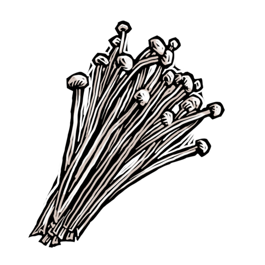 Linocut illustration of enoki mushroom